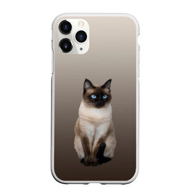 Чехол для iPhone 11 Pro матовый с принтом Сиамский кот голубые глаза в Екатеринбурге, Силикон |  | арт | бежевый | градиент | киса | коричневый | кот | котейка | котенок | котик | котэ | кошка | реализм | сиамец | сиамский