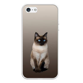 Чехол для iPhone 5/5S матовый с принтом Сиамский кот голубые глаза в Екатеринбурге, Силикон | Область печати: задняя сторона чехла, без боковых панелей | арт | бежевый | градиент | киса | коричневый | кот | котейка | котенок | котик | котэ | кошка | реализм | сиамец | сиамский
