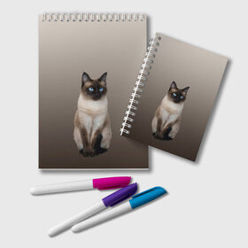 Блокнот с принтом Сиамский кот голубые глаза в Екатеринбурге, 100% бумага | 48 листов, плотность листов — 60 г/м2, плотность картонной обложки — 250 г/м2. Листы скреплены удобной пружинной спиралью. Цвет линий — светло-серый
 | Тематика изображения на принте: арт | бежевый | градиент | киса | коричневый | кот | котейка | котенок | котик | котэ | кошка | реализм | сиамец | сиамский