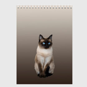 Скетчбук с принтом Сиамский кот голубые глаза в Екатеринбурге, 100% бумага
 | 48 листов, плотность листов — 100 г/м2, плотность картонной обложки — 250 г/м2. Листы скреплены сверху удобной пружинной спиралью | арт | бежевый | градиент | киса | коричневый | кот | котейка | котенок | котик | котэ | кошка | реализм | сиамец | сиамский