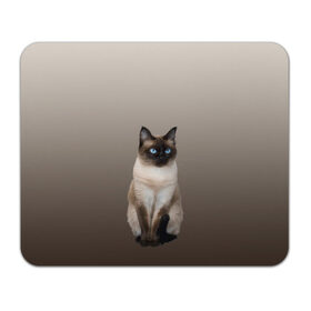 Коврик для мышки прямоугольный с принтом Сиамский кот голубые глаза в Екатеринбурге, натуральный каучук | размер 230 х 185 мм; запечатка лицевой стороны | арт | бежевый | градиент | киса | коричневый | кот | котейка | котенок | котик | котэ | кошка | реализм | сиамец | сиамский