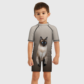 Детский купальный костюм 3D с принтом Сиамский кот голубые глаза в Екатеринбурге, Полиэстер 85%, Спандекс 15% | застежка на молнии на спине | арт | бежевый | градиент | киса | коричневый | кот | котейка | котенок | котик | котэ | кошка | реализм | сиамец | сиамский