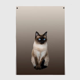 Постер с принтом Сиамский кот голубые глаза в Екатеринбурге, 100% бумага
 | бумага, плотность 150 мг. Матовая, но за счет высокого коэффициента гладкости имеет небольшой блеск и дает на свету блики, но в отличии от глянцевой бумаги не покрыта лаком | арт | бежевый | градиент | киса | коричневый | кот | котейка | котенок | котик | котэ | кошка | реализм | сиамец | сиамский