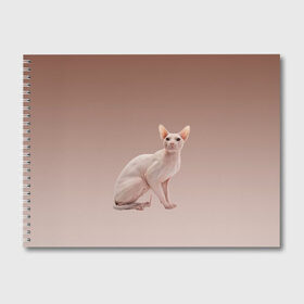 Альбом для рисования с принтом Лысый кот сфинкс в Екатеринбурге, 100% бумага
 | матовая бумага, плотность 200 мг. | арт | бежевый | без шерсти | градиент | домашний питомец | киса | кот | котейка | котенок | котик | котэ | кошка | лысый | реализм | складки кожи | сфинкс | экзотика