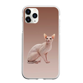 Чехол для iPhone 11 Pro Max матовый с принтом Лысый кот сфинкс в Екатеринбурге, Силикон |  | арт | бежевый | без шерсти | градиент | домашний питомец | киса | кот | котейка | котенок | котик | котэ | кошка | лысый | реализм | складки кожи | сфинкс | экзотика