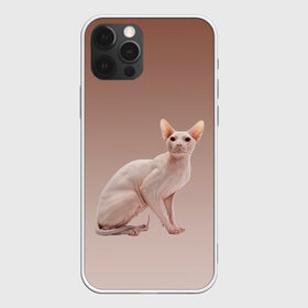 Чехол для iPhone 12 Pro Max с принтом Лысый кот сфинкс в Екатеринбурге, Силикон |  | арт | бежевый | без шерсти | градиент | домашний питомец | киса | кот | котейка | котенок | котик | котэ | кошка | лысый | реализм | складки кожи | сфинкс | экзотика