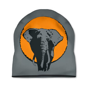 Шапка 3D с принтом Африканский Слон в Екатеринбурге, 100% полиэстер | универсальный размер, печать по всей поверхности изделия | африка | графика | дикий мир | животное | персонаж | природа | рисунок | слон