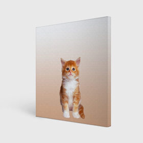 Холст квадратный с принтом бело-рыжий котенок реализм в Екатеринбурге, 100% ПВХ |  | cat | kitten | бело рыжий | градиент | кот | котейка | котенок | котеночек | котик | котофей | котэ | кошка | малыш | милаш | мяу | нэко | реализм | рыже белый