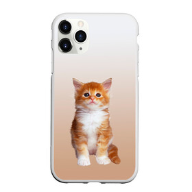 Чехол для iPhone 11 Pro матовый с принтом бело-рыжий котенок реализм в Екатеринбурге, Силикон |  | cat | kitten | бело рыжий | градиент | кот | котейка | котенок | котеночек | котик | котофей | котэ | кошка | малыш | милаш | мяу | нэко | реализм | рыже белый