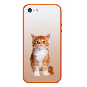 Чехол для iPhone 5/5S матовый с принтом бело-рыжий котенок реализм в Екатеринбурге, Силикон | Область печати: задняя сторона чехла, без боковых панелей | cat | kitten | бело рыжий | градиент | кот | котейка | котенок | котеночек | котик | котофей | котэ | кошка | малыш | милаш | мяу | нэко | реализм | рыже белый