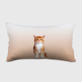 Подушка 3D антистресс с принтом бело-рыжий котенок реализм в Екатеринбурге, наволочка — 100% полиэстер, наполнитель — вспененный полистирол | состоит из подушки и наволочки на молнии | cat | kitten | бело рыжий | градиент | кот | котейка | котенок | котеночек | котик | котофей | котэ | кошка | малыш | милаш | мяу | нэко | реализм | рыже белый
