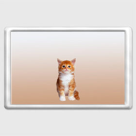 Магнит 45*70 с принтом бело-рыжий котенок реализм в Екатеринбурге, Пластик | Размер: 78*52 мм; Размер печати: 70*45 | cat | kitten | бело рыжий | градиент | кот | котейка | котенок | котеночек | котик | котофей | котэ | кошка | малыш | милаш | мяу | нэко | реализм | рыже белый