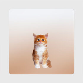 Магнит виниловый Квадрат с принтом бело-рыжий котенок реализм в Екатеринбурге, полимерный материал с магнитным слоем | размер 9*9 см, закругленные углы | Тематика изображения на принте: cat | kitten | бело рыжий | градиент | кот | котейка | котенок | котеночек | котик | котофей | котэ | кошка | малыш | милаш | мяу | нэко | реализм | рыже белый
