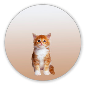 Коврик для мышки круглый с принтом бело-рыжий котенок реализм в Екатеринбурге, резина и полиэстер | круглая форма, изображение наносится на всю лицевую часть | cat | kitten | бело рыжий | градиент | кот | котейка | котенок | котеночек | котик | котофей | котэ | кошка | малыш | милаш | мяу | нэко | реализм | рыже белый