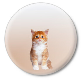 Значок с принтом бело-рыжий котенок реализм в Екатеринбурге,  металл | круглая форма, металлическая застежка в виде булавки | cat | kitten | бело рыжий | градиент | кот | котейка | котенок | котеночек | котик | котофей | котэ | кошка | малыш | милаш | мяу | нэко | реализм | рыже белый