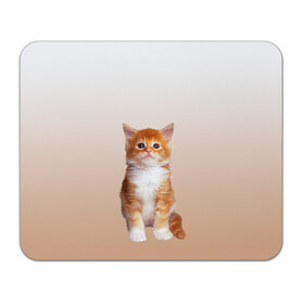 Коврик для мышки прямоугольный с принтом бело-рыжий котенок реализм в Екатеринбурге, натуральный каучук | размер 230 х 185 мм; запечатка лицевой стороны | Тематика изображения на принте: cat | kitten | бело рыжий | градиент | кот | котейка | котенок | котеночек | котик | котофей | котэ | кошка | малыш | милаш | мяу | нэко | реализм | рыже белый