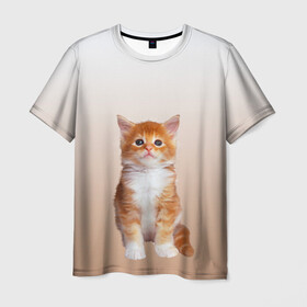 Мужская футболка 3D с принтом бело-рыжий котенок реализм в Екатеринбурге, 100% полиэфир | прямой крой, круглый вырез горловины, длина до линии бедер | cat | kitten | бело рыжий | градиент | кот | котейка | котенок | котеночек | котик | котофей | котэ | кошка | малыш | милаш | мяу | нэко | реализм | рыже белый