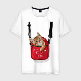 Мужская футболка хлопок с принтом Are you kitten(kidding) me? в Екатеринбурге, 100% хлопок | прямой крой, круглый вырез горловины, длина до линии бедер, слегка спущенное плечо. | кот | котик | милый | рюкзак | слова | фраза | хипстер