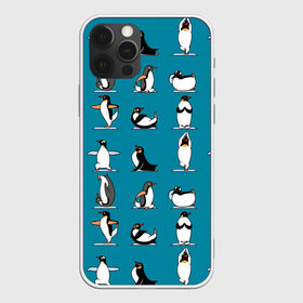 Чехол для iPhone 12 Pro Max с принтом Пингвина на заярдке в Екатеринбурге, Силикон |  | голубая | день валентина | день святого | день святого валентина | зарядка | качки | пингвин | пингвины | прикольная | птица | птицы | физкультура | физра