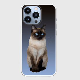 Чехол для iPhone 13 Pro с принтом сиамская милая кошечка в Екатеринбурге,  |  | Тематика изображения на принте: cat | kitten | голубые глаза | градиент | кот | котейка | котик | кошечка | кошка | милая | мяу | сиамская | сиамский