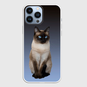Чехол для iPhone 13 Pro Max с принтом сиамская милая кошечка в Екатеринбурге,  |  | Тематика изображения на принте: cat | kitten | голубые глаза | градиент | кот | котейка | котик | кошечка | кошка | милая | мяу | сиамская | сиамский
