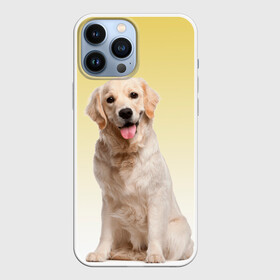 Чехол для iPhone 13 Pro Max с принтом Лабрадор ретривер пес в Екатеринбурге,  |  | домашние любимцы | друг | животные | золотистый ретривер | лабрадор | пес | питомец | породистый | собака