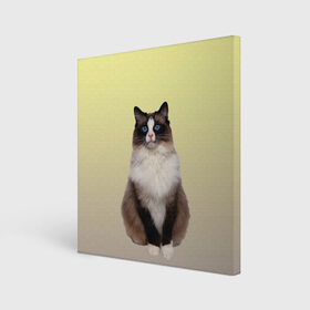 Холст квадратный с принтом персидская пушистая кошка в Екатеринбурге, 100% ПВХ |  | ветеринар | градиент | домашний питомец | котейка | котик | коты | котэ | кошатник | кошатница | кошачьи | кошки | любитель животных | мяу | нэко | персидская | сиамская | смесь | шаблон