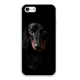 Чехол для iPhone 5/5S матовый с принтом ТАКСА в Екатеринбурге, Силикон | Область печати: задняя сторона чехла, без боковых панелей | Тематика изображения на принте: animal | black | dog | photo | глаза | домашние | животные | звери | пес | собакен | собаки | такса | черный