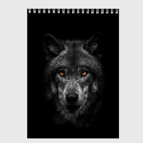 Скетчбук с принтом Evil Wolf в Екатеринбурге, 100% бумага
 | 48 листов, плотность листов — 100 г/м2, плотность картонной обложки — 250 г/м2. Листы скреплены сверху удобной пружинной спиралью | animal | beast | dark | darkness | evil | moon | nigth | tegunvteg | werwolf | wild | wolf | вервольф | вой | волк | волки | волчара | дикий | животное | зверь | клык | клыки | луна | ночь | оборотень | полнолуние