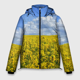 Мужская зимняя куртка 3D с принтом Желтый цвет весны в Екатеринбурге, верх — 100% полиэстер; подкладка — 100% полиэстер; утеплитель — 100% полиэстер | длина ниже бедра, свободный силуэт Оверсайз. Есть воротник-стойка, отстегивающийся капюшон и ветрозащитная планка. 

Боковые карманы с листочкой на кнопках и внутренний карман на молнии. | art | casual | арт | весенний | весна | градиент | зелень | лето | облака | поле | растения | структура | текстура | цветы