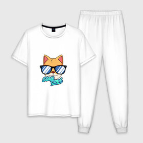 Мужская пижама хлопок с принтом Очковая кошка в Екатеринбурге, 100% хлопок | брюки и футболка прямого кроя, без карманов, на брюках мягкая резинка на поясе и по низу штанин
 | домашняя кошка | кошка | мелус кот | милый кот | мышка | очки | очковая кошка | французская кошка
