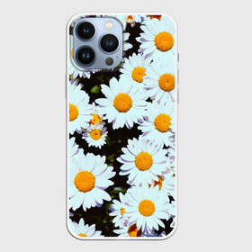 Чехол для iPhone 13 Pro Max с принтом Ромашки в Екатеринбурге,  |  | 2021 | бабочка | весенняя | весна | вишня | вселенная | коронавирус | космос | лето | лилия | мимоза | океан | отпуск | роза | розы | ромашка | ромашки | с бабочками | с цветами | сад | сакура | фиалка