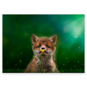 Поздравительная открытка с принтом Лисенок нюхает цветок в Екатеринбурге, 100% бумага | плотность бумаги 280 г/м2, матовая, на обратной стороне линовка и место для марки
 | fox | foxy | животное | звери | лиса | лисенок | лисичка | милая | рыжая | фокс