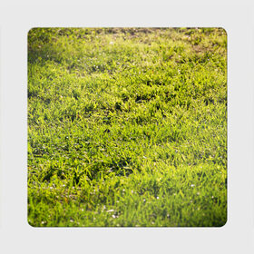 Магнит виниловый Квадрат с принтом Трава под солнцем в Екатеринбурге, полимерный материал с магнитным слоем | размер 9*9 см, закругленные углы | green day | nature | spring | summer | sun | весна | день | зелень | лес | лето | парк | поле | поляна | природа | природа россии | растения | русская природа | сад | салатовый | солнце | солнышко | сочный | текстура | тр
