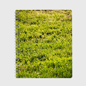 Тетрадь с принтом Трава под солнцем в Екатеринбурге, 100% бумага | 48 листов, плотность листов — 60 г/м2, плотность картонной обложки — 250 г/м2. Листы скреплены сбоку удобной пружинной спиралью. Уголки страниц и обложки скругленные. Цвет линий — светло-серый
 | Тематика изображения на принте: green day | nature | spring | summer | sun | весна | день | зелень | лес | лето | парк | поле | поляна | природа | природа россии | растения | русская природа | сад | салатовый | солнце | солнышко | сочный | текстура | тр