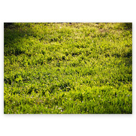 Поздравительная открытка с принтом Трава под солнцем в Екатеринбурге, 100% бумага | плотность бумаги 280 г/м2, матовая, на обратной стороне линовка и место для марки
 | green day | nature | spring | summer | sun | весна | день | зелень | лес | лето | парк | поле | поляна | природа | природа россии | растения | русская природа | сад | салатовый | солнце | солнышко | сочный | текстура | тр