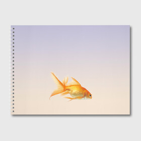 Альбом для рисования с принтом золотая рыбка в Екатеринбурге, 100% бумага
 | матовая бумага, плотность 200 мг. | аквариум | градиент | золотая рыбка | подводный мир | рыба | рыбешка | рыбка