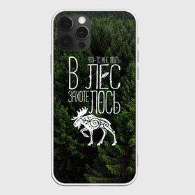 Чехол для iPhone 12 Pro Max с принтом В лес захотелось в Екатеринбурге, Силикон |  | Тематика изображения на принте: бег | болота | выезд с палатками | глушь | дикая природа | елки | еловый бор | кэмпинг | лес | лось | маршрут | ммб | сибирь | силуэт лося | тайга | тотем | трекинг | туризм | узоры