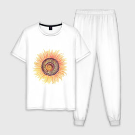 Мужская пижама хлопок с принтом большой подсолнух рисунок в Екатеринбурге, 100% хлопок | брюки и футболка прямого кроя, без карманов, на брюках мягкая резинка на поясе и по низу штанин
 | акварель | желтый | краска | лето | оранжевый | подсолнухи | рисунок | рубэкия | румбекия | солнце | цветы | ярко
