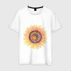 Мужская футболка хлопок с принтом большой подсолнух рисунок в Екатеринбурге, 100% хлопок | прямой крой, круглый вырез горловины, длина до линии бедер, слегка спущенное плечо. | акварель | желтый | краска | лето | оранжевый | подсолнухи | рисунок | рубэкия | румбекия | солнце | цветы | ярко