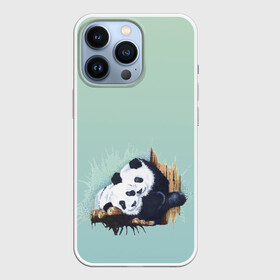 Чехол для iPhone 13 Pro с принтом акварельные панды в Екатеринбурге,  |  | акварель | двое | животные | звери | мило | мишки | обнимашки | панды | пара | природа | рисунок