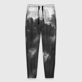 Мужские брюки 3D с принтом Туман в лесу в Екатеринбурге, 100% полиэстер | манжеты по низу, эластичный пояс регулируется шнурком, по бокам два кармана без застежек, внутренняя часть кармана из мелкой сетки | tegunvteg | деревья | лес | листья | природа | темный лес | туман