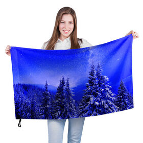 Флаг 3D с принтом Зимний лес в Екатеринбурге, 100% полиэстер | плотность ткани — 95 г/м2, размер — 67 х 109 см. Принт наносится с одной стороны | tegunvteg | деревья | зима | зимний лес | лес | листья | мороз | природа | снег | темный лес