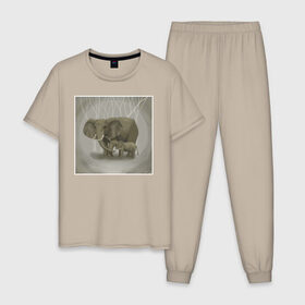 Мужская пижама хлопок с принтом Слоны в Екатеринбурге, 100% хлопок | брюки и футболка прямого кроя, без карманов, на брюках мягкая резинка на поясе и по низу штанин
 | иллюстрация | рисунок | серый | слон | слоненок