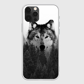 Чехол для iPhone 12 Pro Max с принтом Волк в Екатеринбурге, Силикон |  | tegunvteg | волк | деревья | красивый лес | лес | листья | природа | собака | темный лес