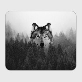 Коврик для мышки прямоугольный с принтом Волк в Екатеринбурге, натуральный каучук | размер 230 х 185 мм; запечатка лицевой стороны | tegunvteg | волк | деревья | красивый лес | лес | листья | природа | собака | темный лес