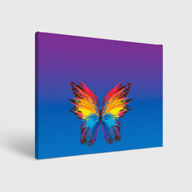 Холст прямоугольный с принтом красочная бабочка в Екатеринбурге, 100% ПВХ |  | абстрактное искусство | бабочка | беспозвоночные | брызги | градиент | краска | красочная | крылья | лето | мотыльки и бабочки | насекомое | радуга | ярко