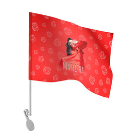 Флаг для автомобиля с принтом Манижа Manizha в Екатеринбурге, 100% полиэстер | Размер: 30*21 см | manizha | далеровна | душанбе | евровидение | евровидение 2021 | манижа | певица | таджикистан | хамраева