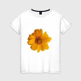 Женская футболка хлопок с принтом Подсолнух в Екатеринбурге, 100% хлопок | прямой крой, круглый вырез горловины, длина до линии бедер, слегка спущенное плечо | иллюстрации | картинки | лето | подсолнух | популярные | прикольные | природа | тренд | цветы