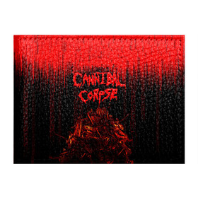 Обложка для студенческого билета с принтом CANNIBAL CORPSE в Екатеринбурге, натуральная кожа | Размер: 11*8 см; Печать на всей внешней стороне | blood | cannibal corpse | death metal | grunge | hardcore | music | punk | rock | usa | группа | канибал | кровь | метал | музыка | рок | сша | труп